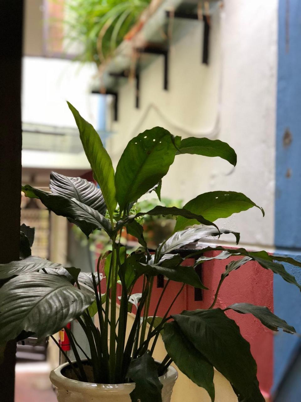 Ferienwohnung Ventana House Hai Phong Exterior foto