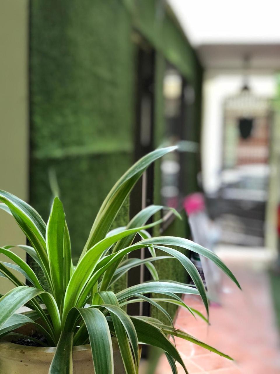 Ferienwohnung Ventana House Hai Phong Exterior foto
